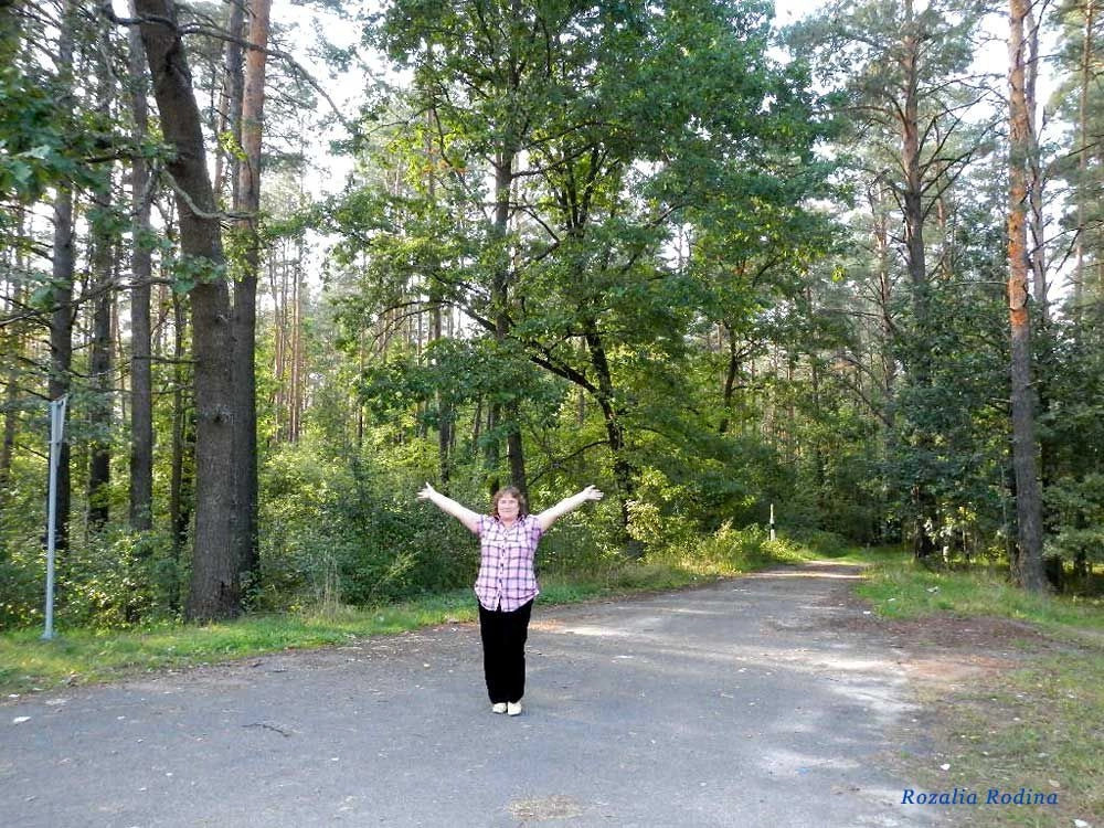 Речицкий район
