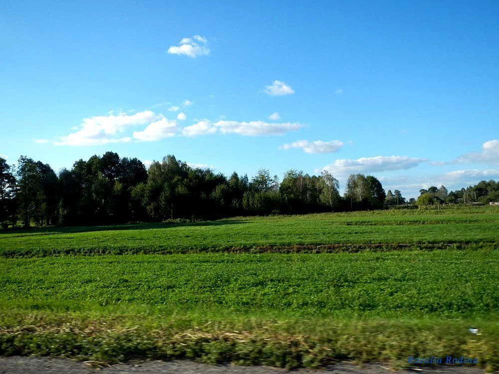 Речицкий район