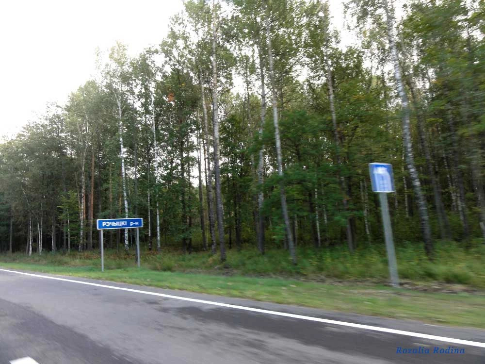 Речицкий район
