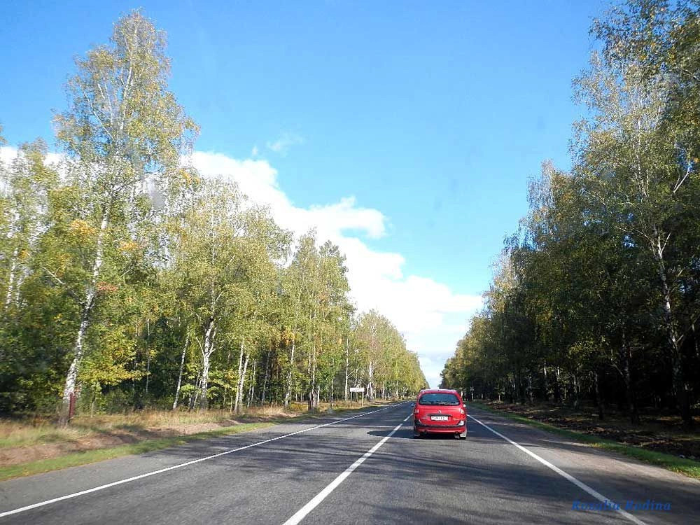 Речицкий район