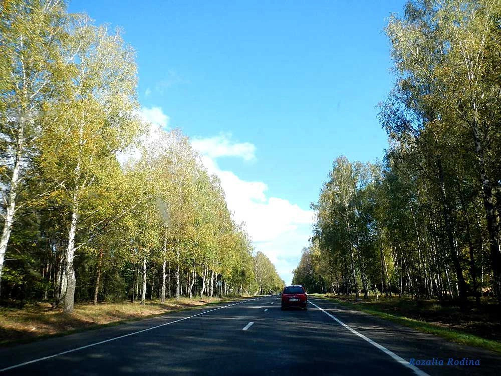 Речицкий район