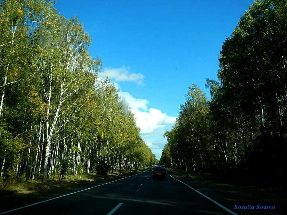 Речицкий район