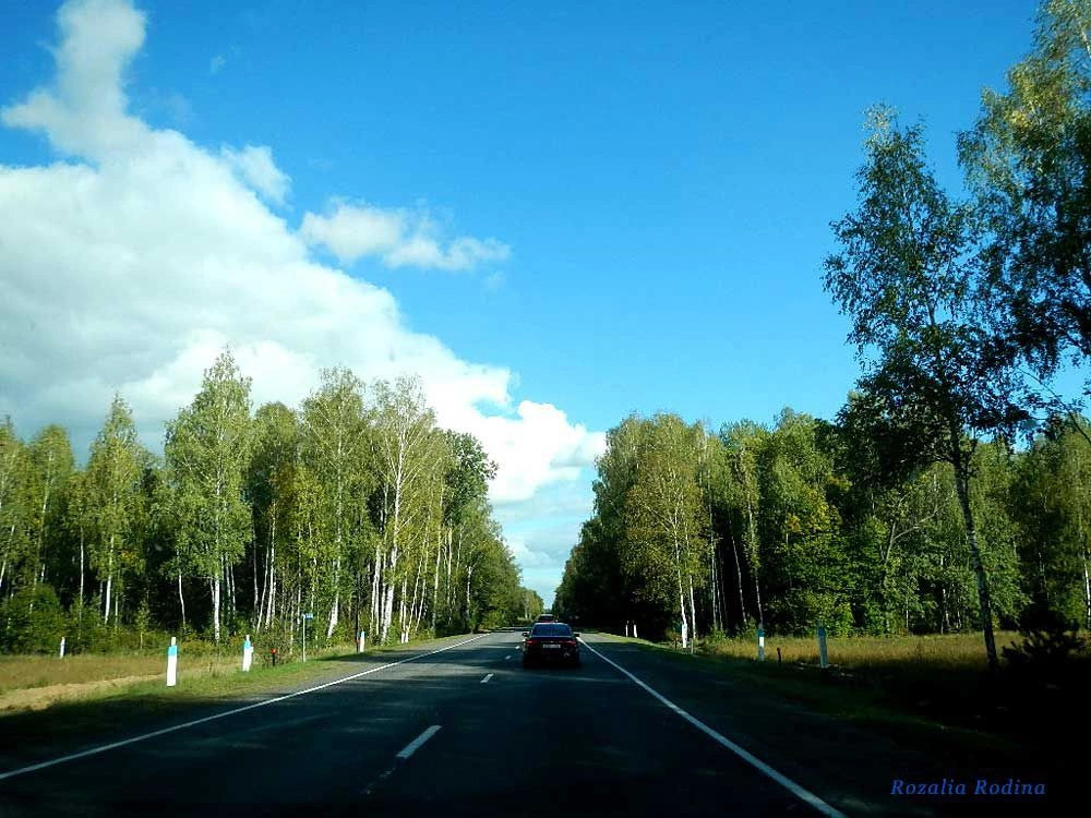 Речицкий район
