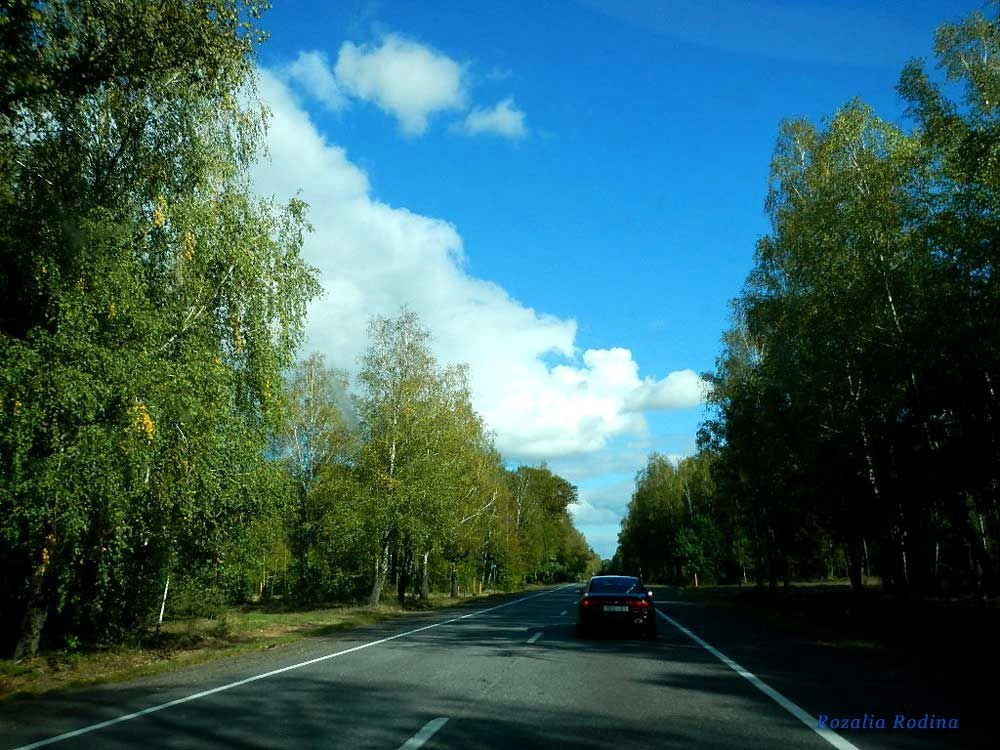 Речицкий район