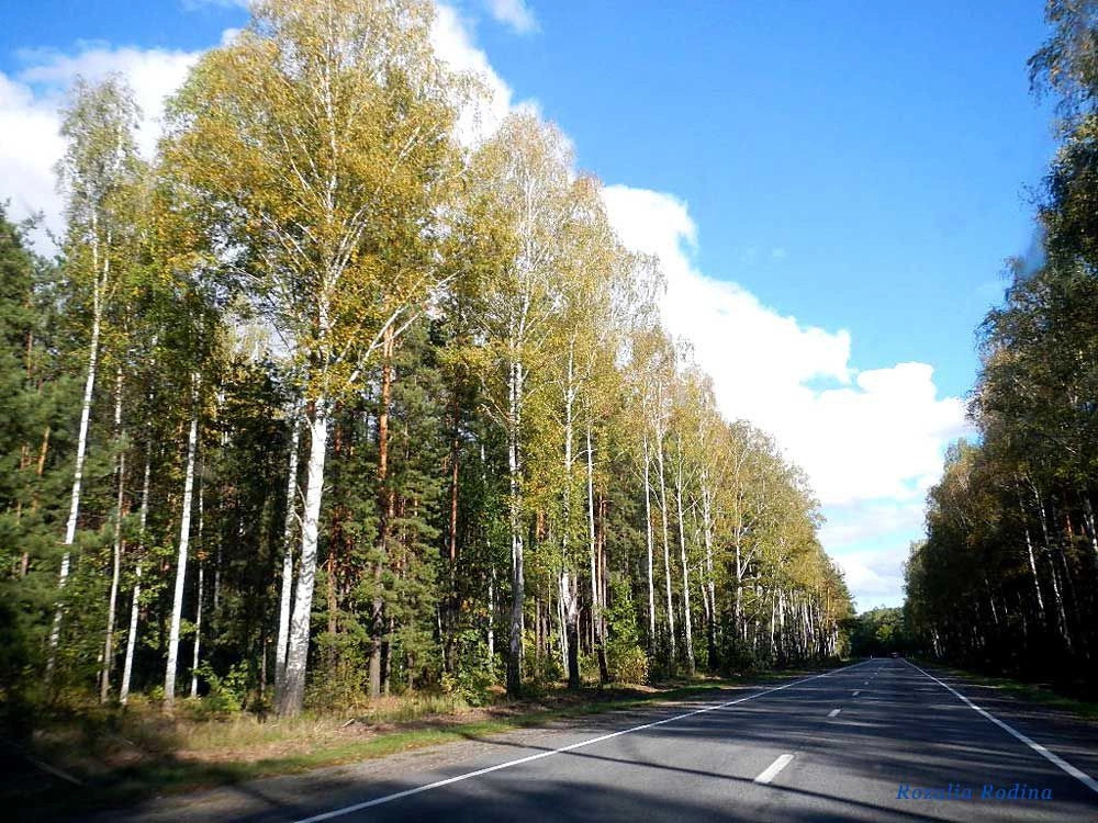 Речицкий район