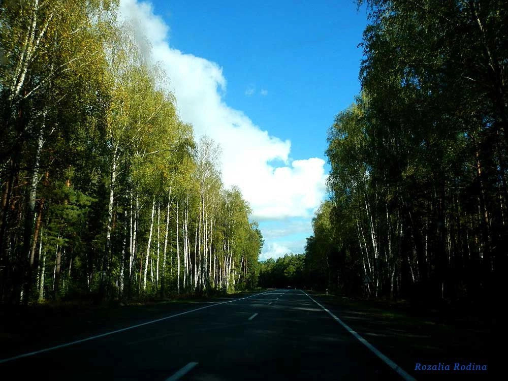 Речицкий район