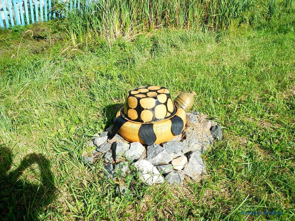Головинцы