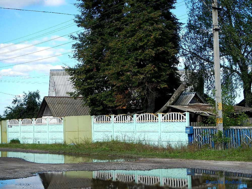 Головинцы