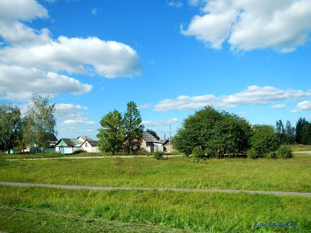 Головинцы