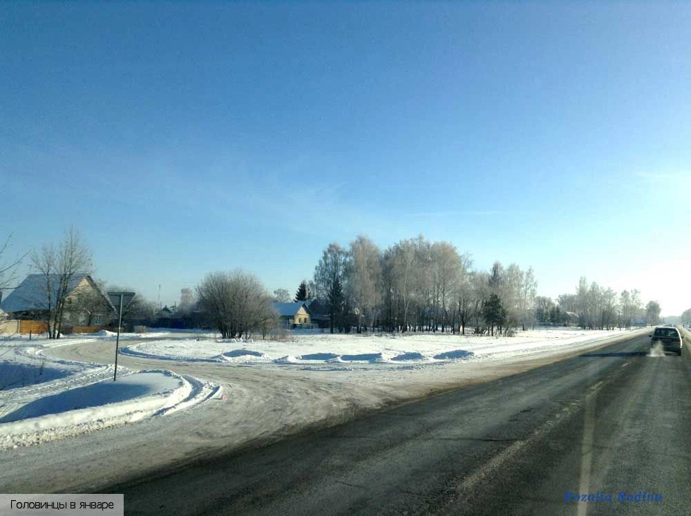 Головинцы