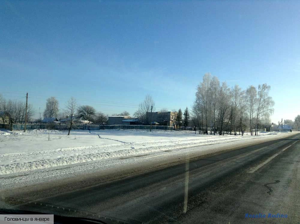 Головинцы