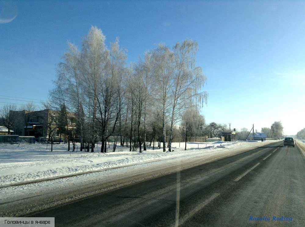 Головинцы