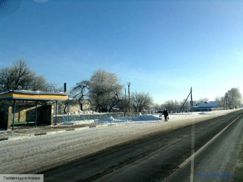 Головинцы