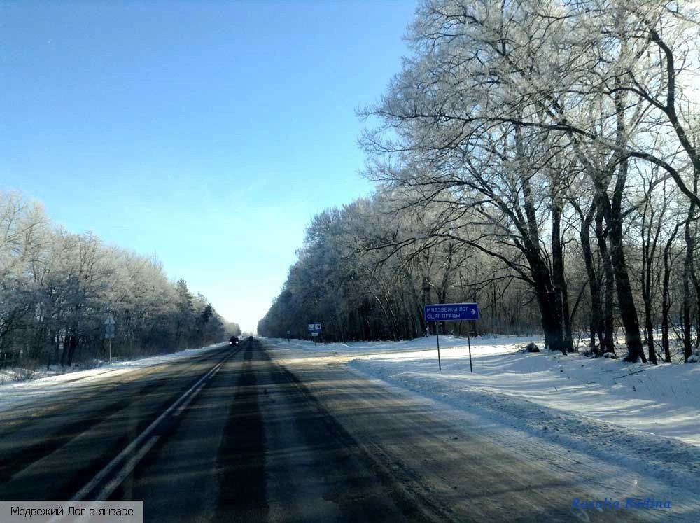 Медвежий Лог
