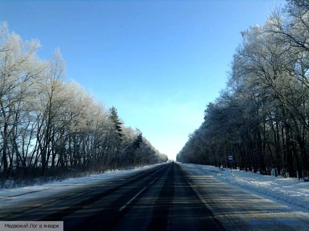 Медвежий Лог