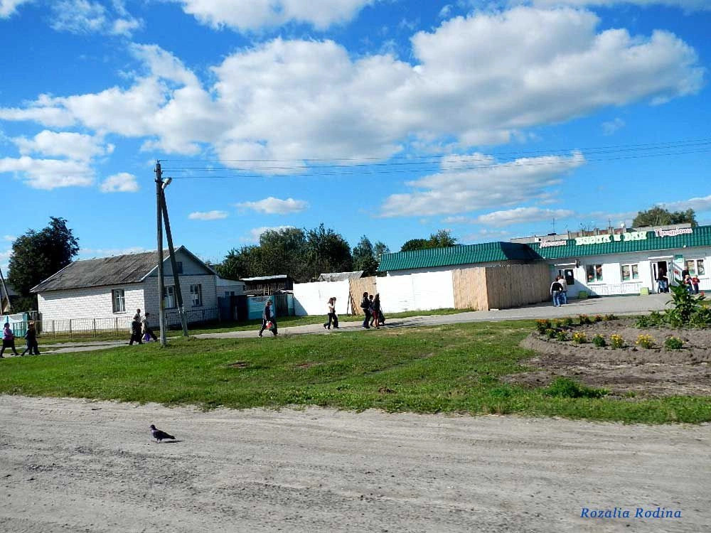 Берёзки (Гомельский р-н)