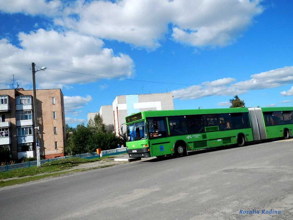 Берёзки (Гомельский р-н)