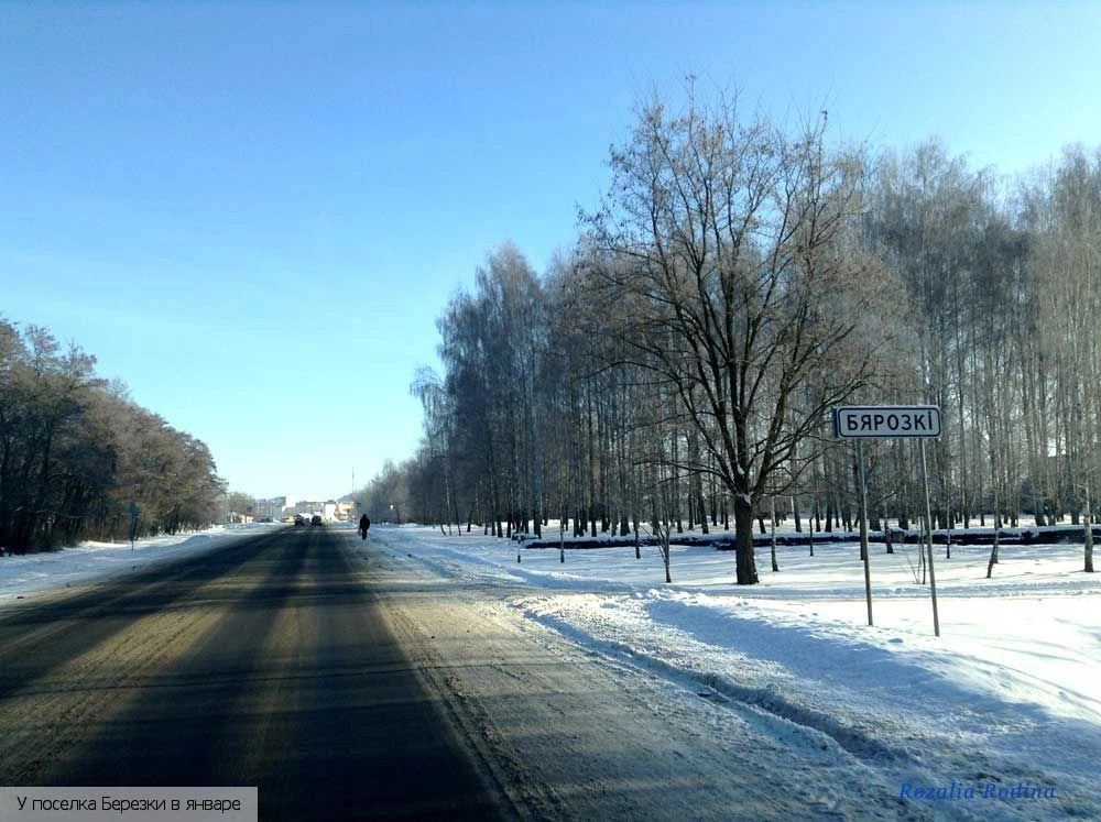 Берёзки (Гомельский р-н)
