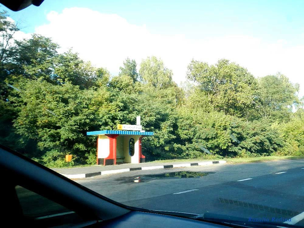 Жгунская Буда