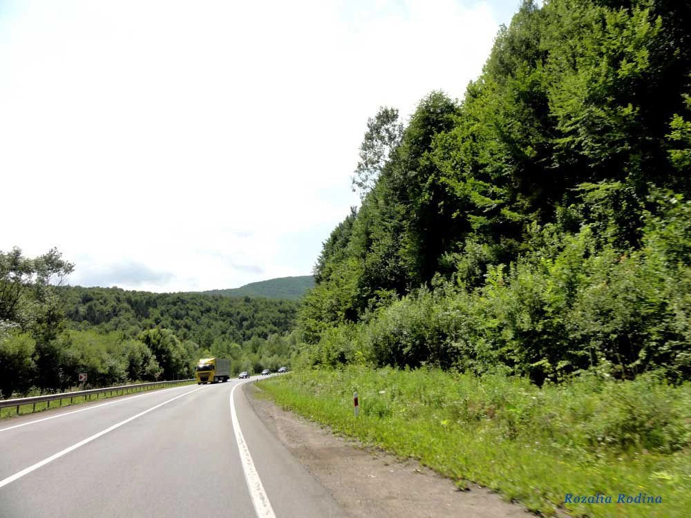 Закарпатская обл.