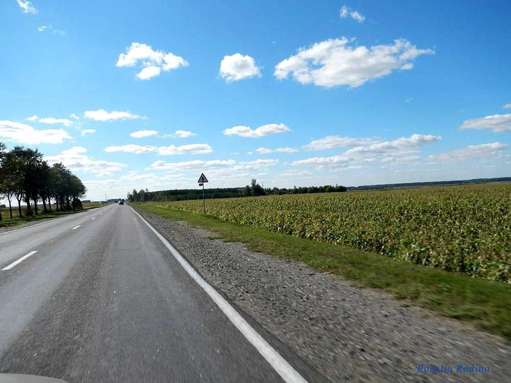 Селище-1