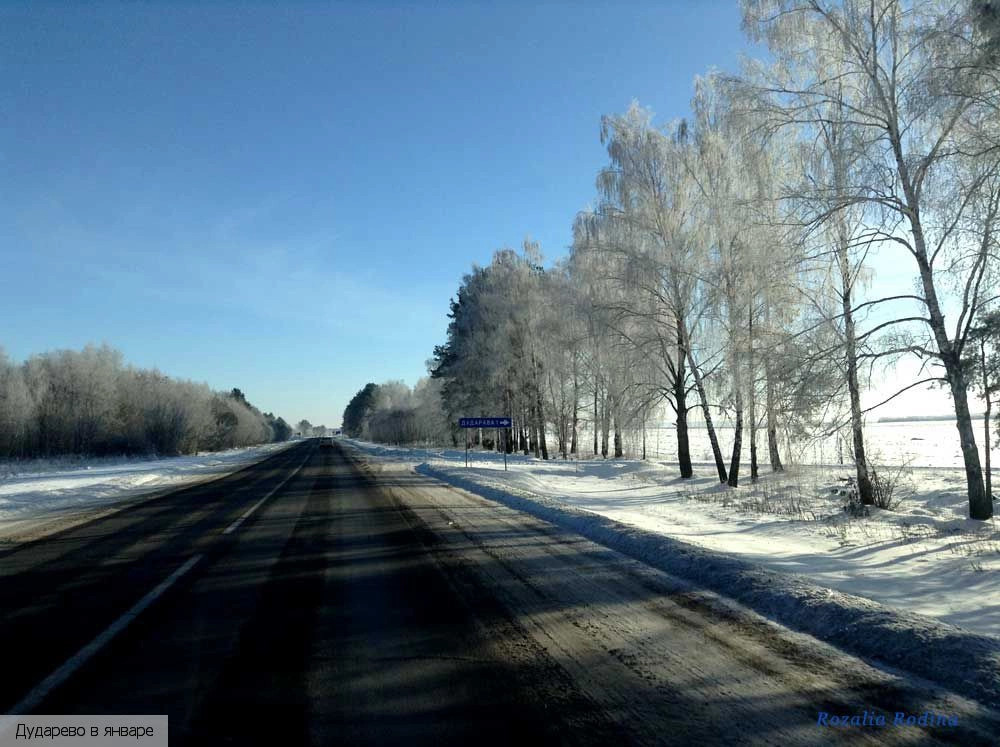 Дударево (Добрушский р-н)