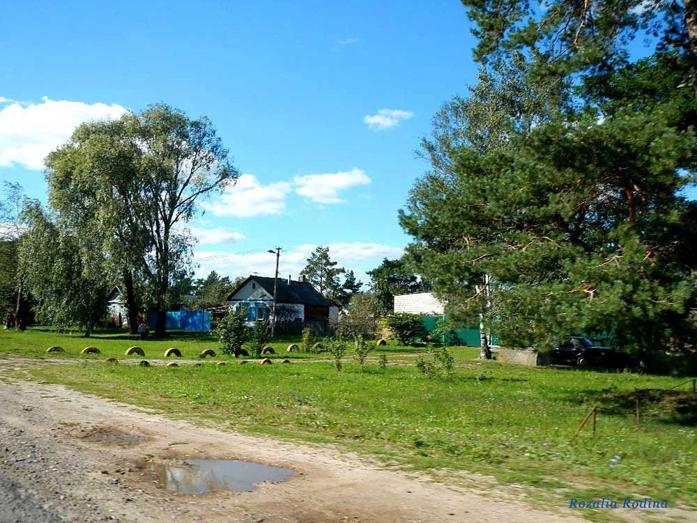 Рассвет (Добрушский р-н)