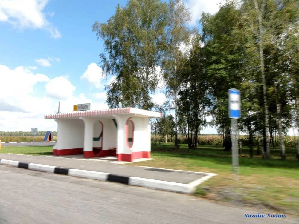 Ельск