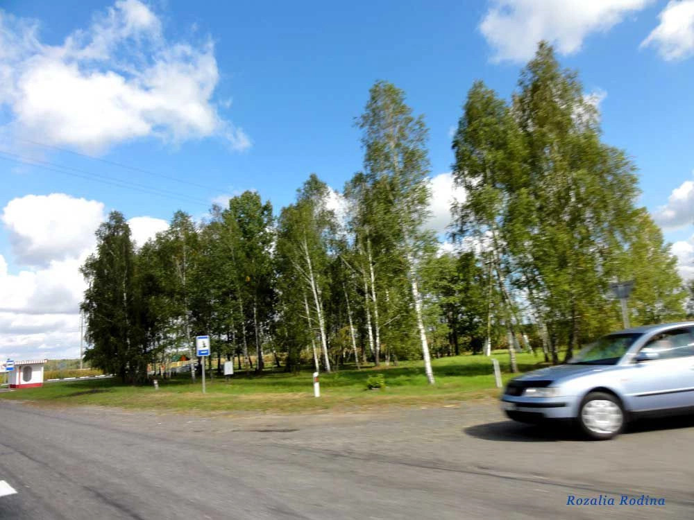 Ельск