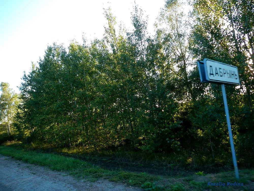 Добрынь (Ельский р-н)
