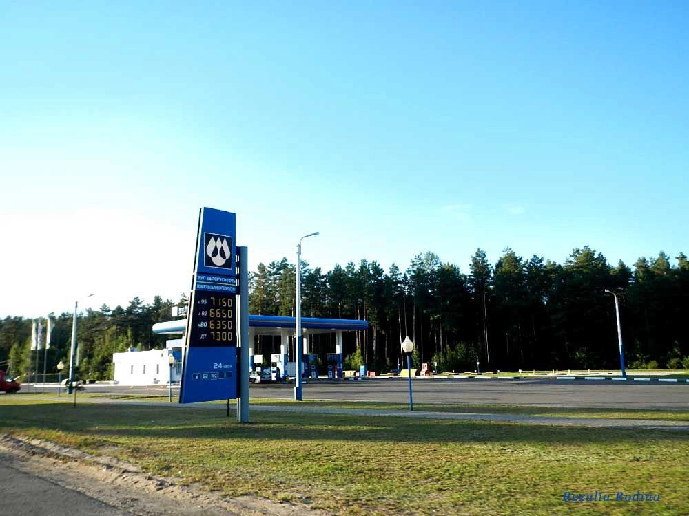 Добрынь (Ельский р-н)
