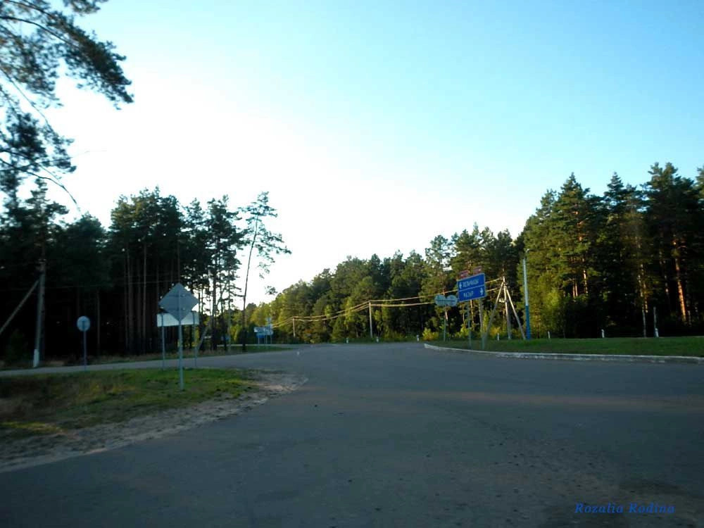 Добрынь (Ельский р-н)