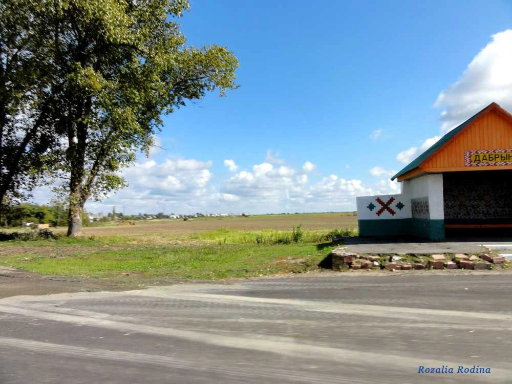 Добрынь (Ельский р-н)