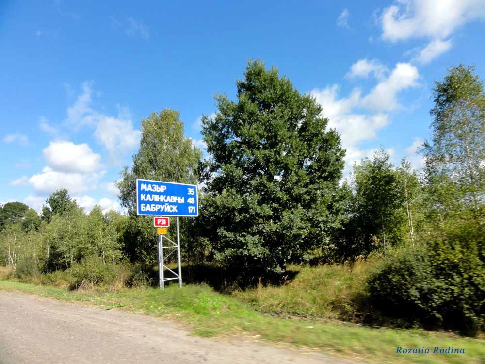 Добрынь (Ельский р-н)
