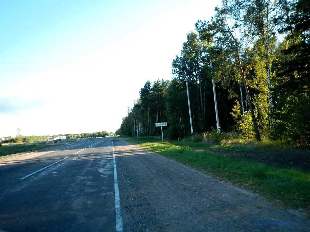 Ельский район