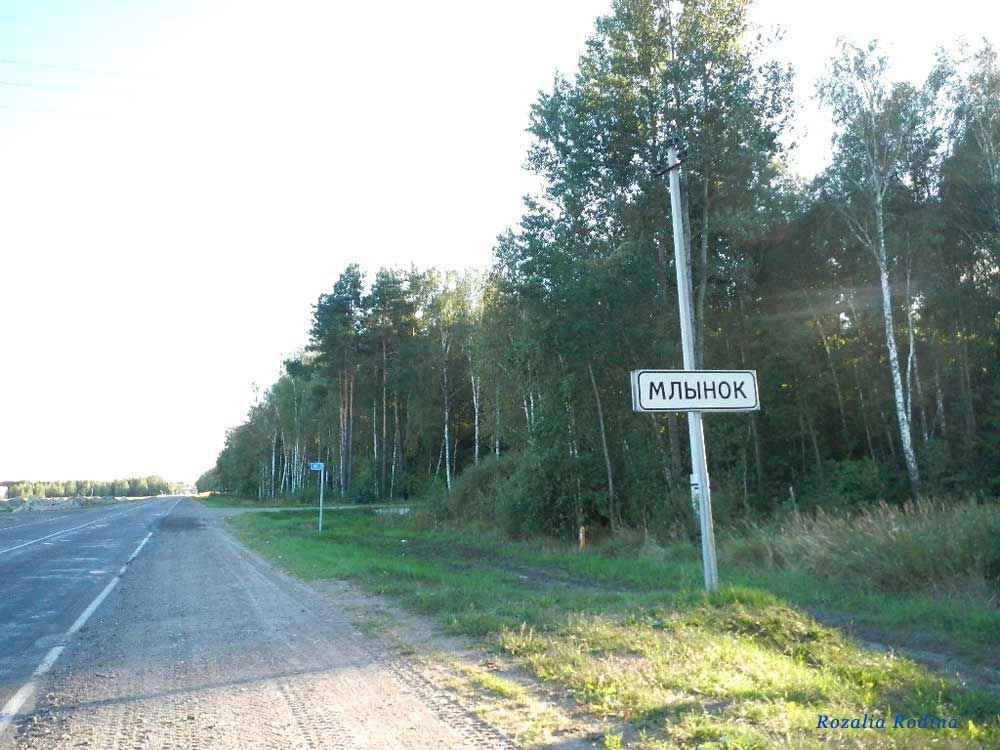 Млынок (Ельский р-н)