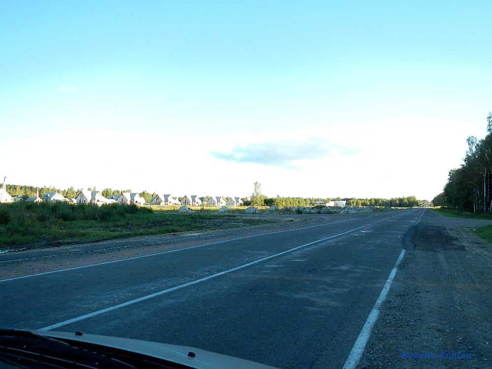 Млынок (Ельский р-н)