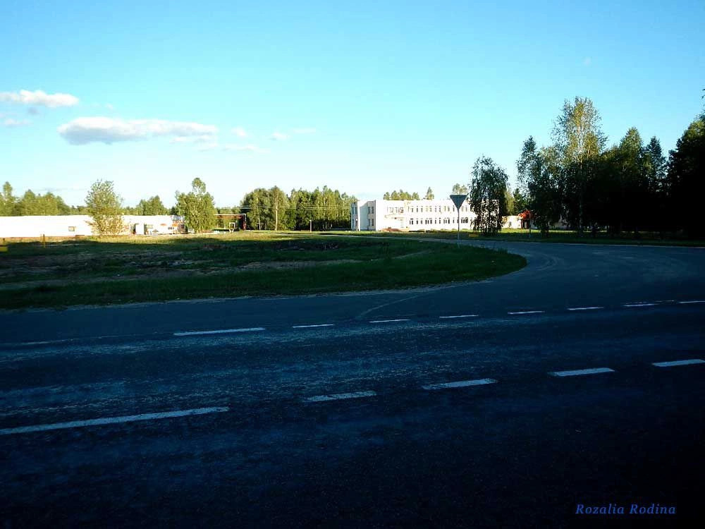 Млынок (Ельский р-н)