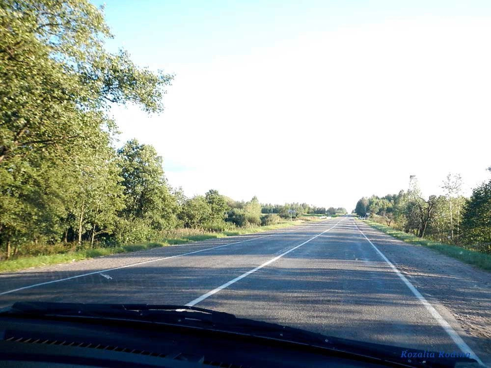 Млынок (Ельский р-н)