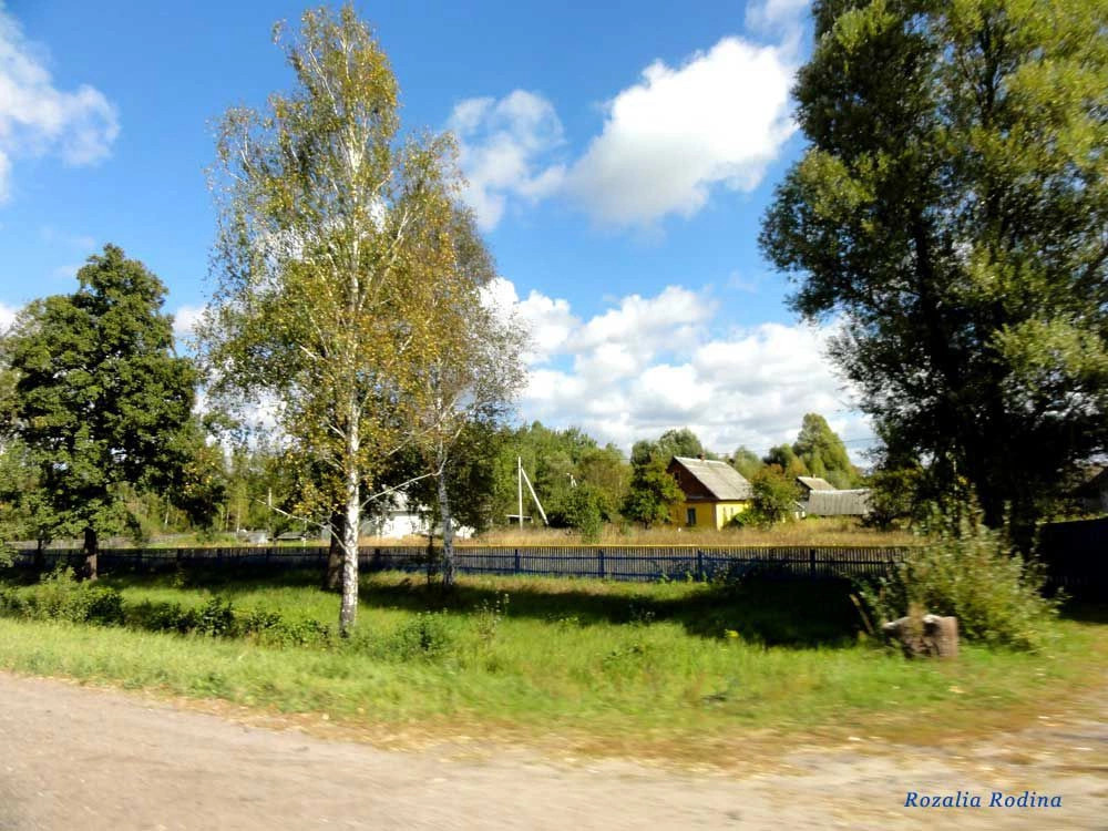 Млынок (Ельский р-н)