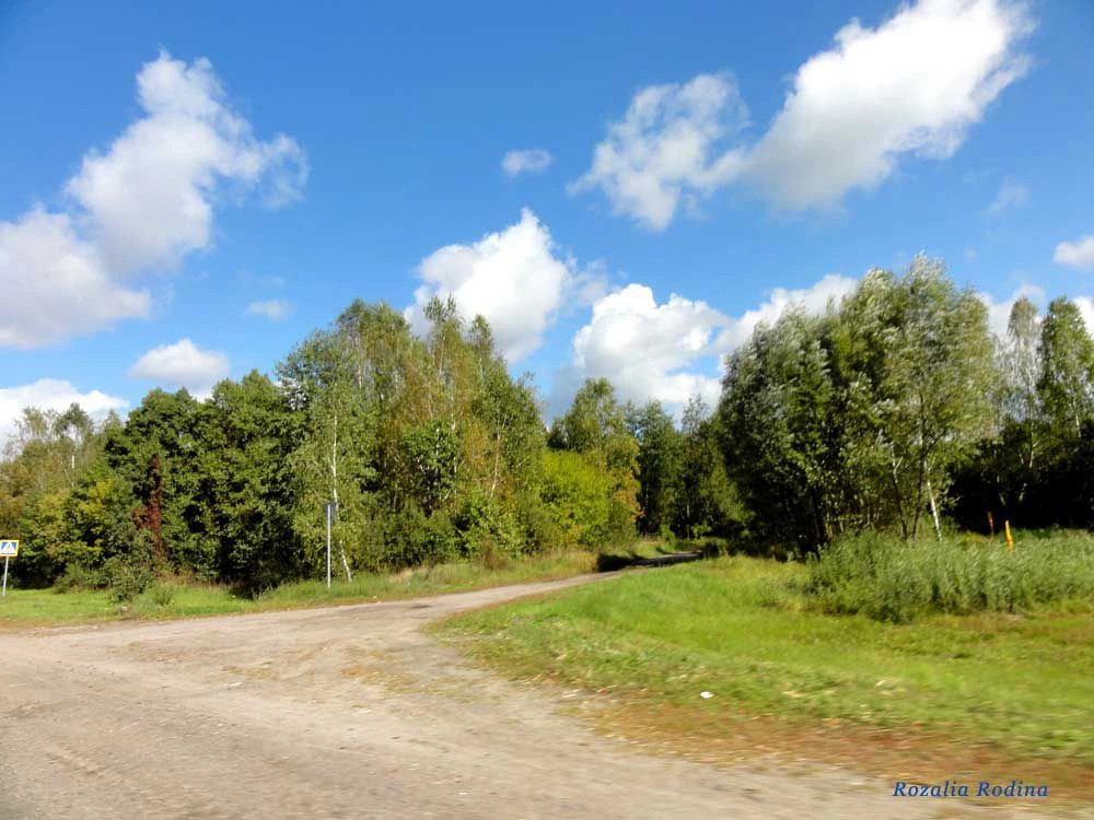 Млынок (Ельский р-н)