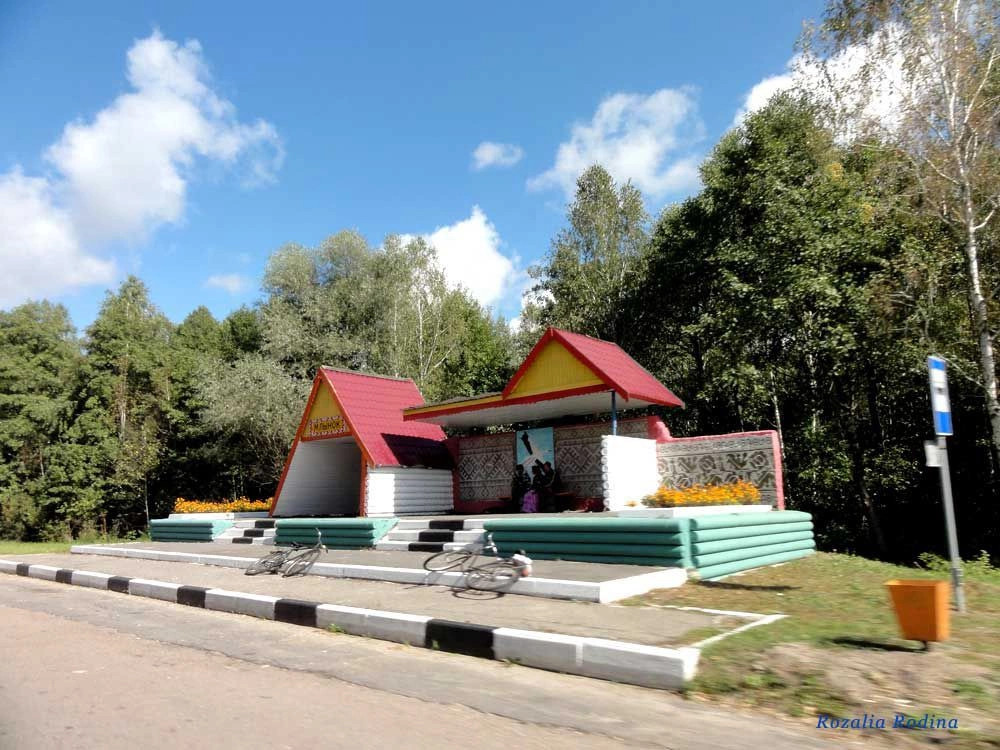Ельский район