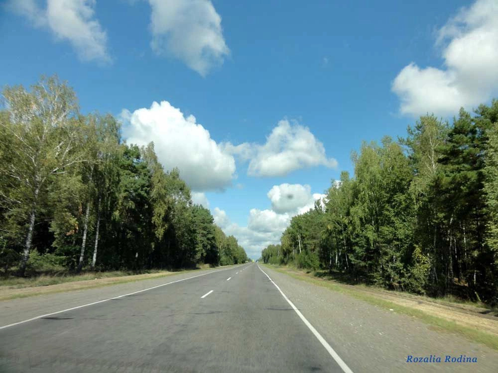 Млынок (Ельский р-н)