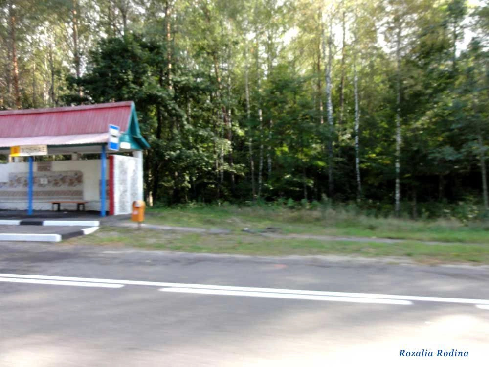 Хобное