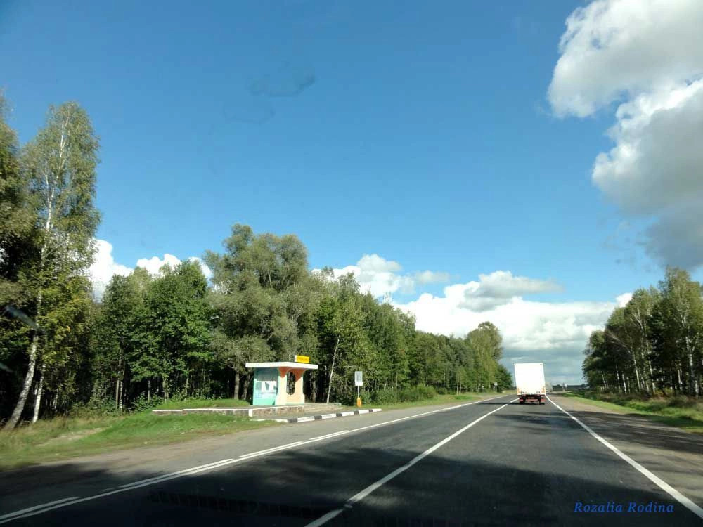 Ладыжин