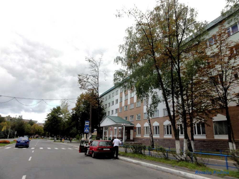 Мозырь