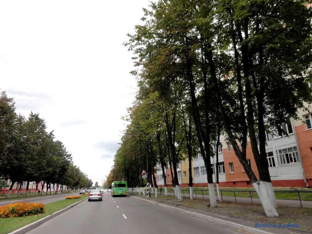 Мозырь