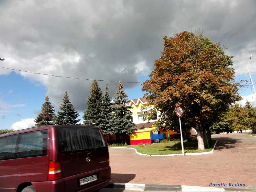 Мозырь