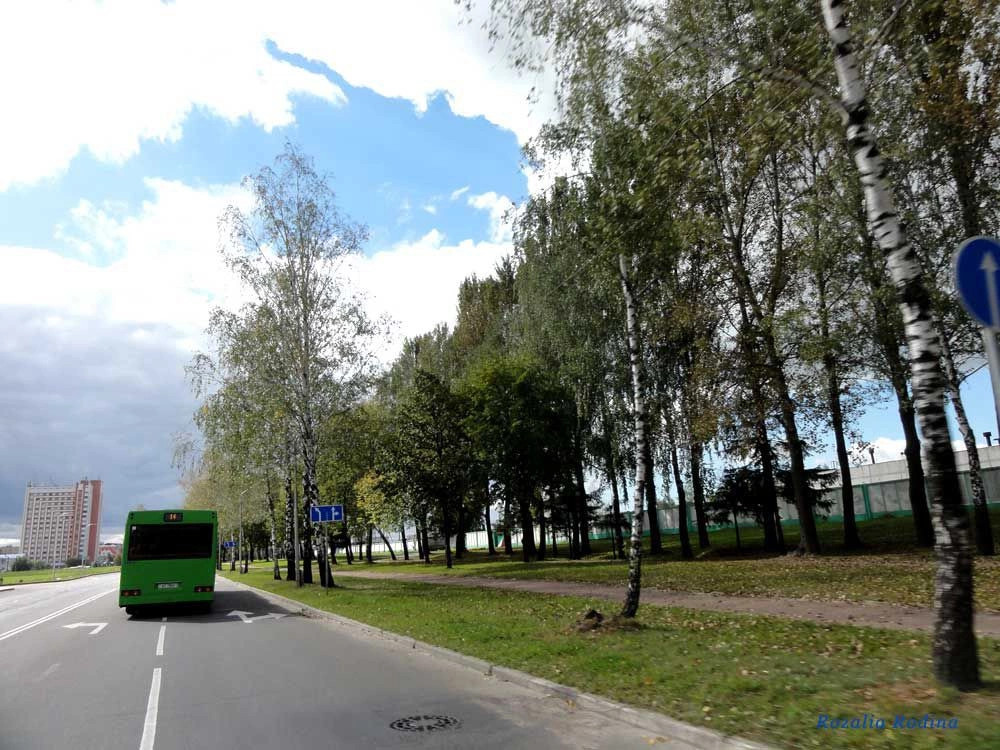Мозырь