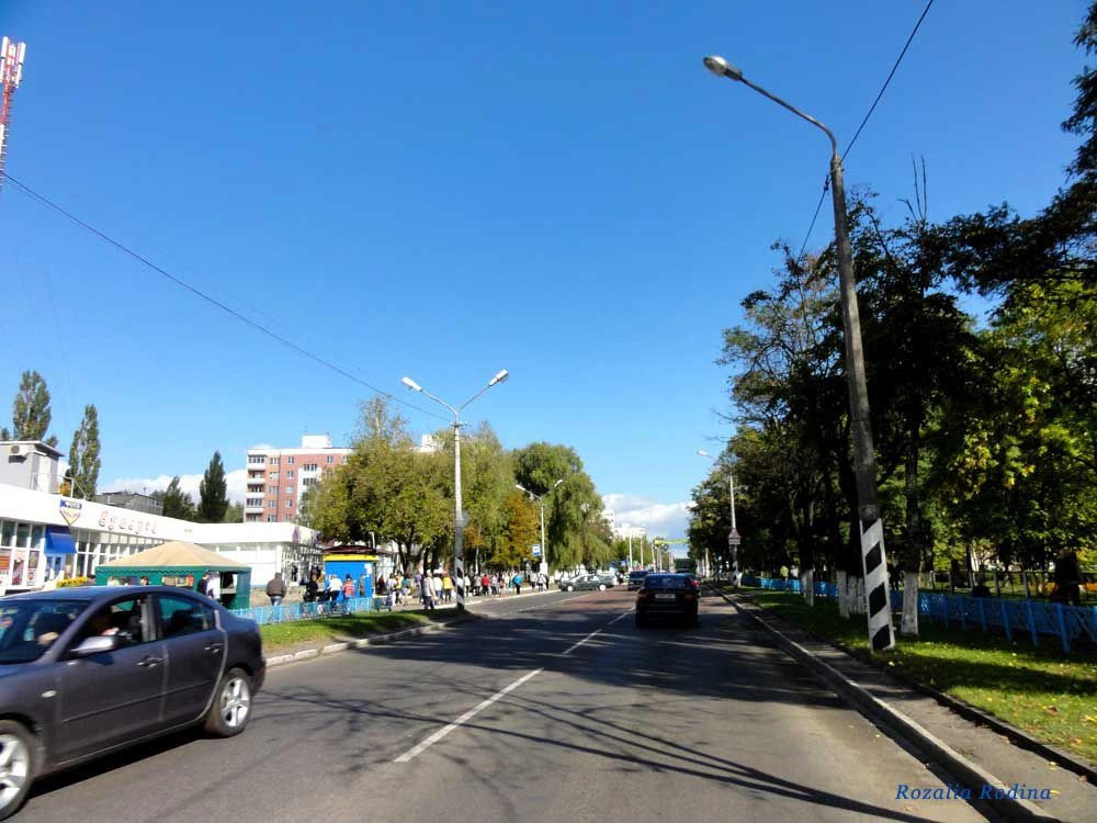 Мозырь